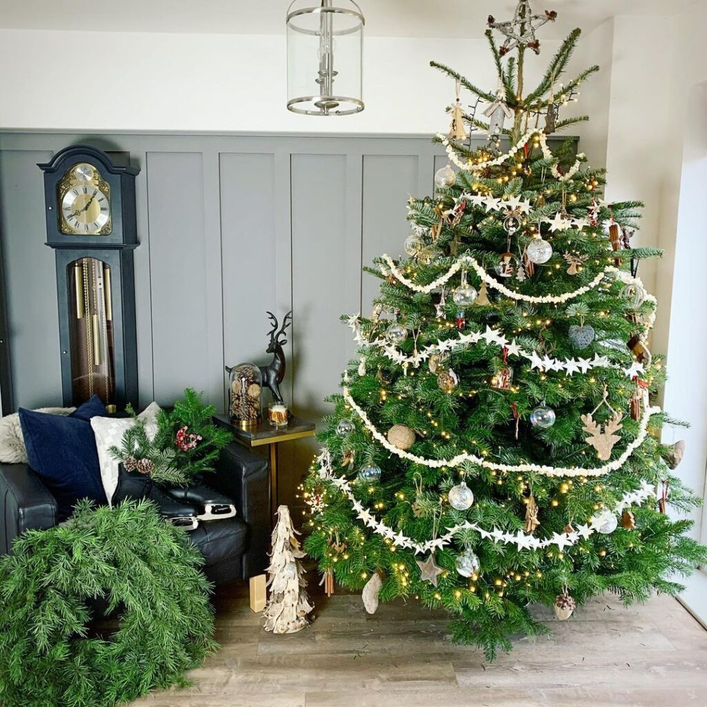 10 Traditional Christmas Tree Styles