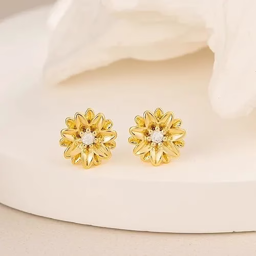 Silver Gold Earrings