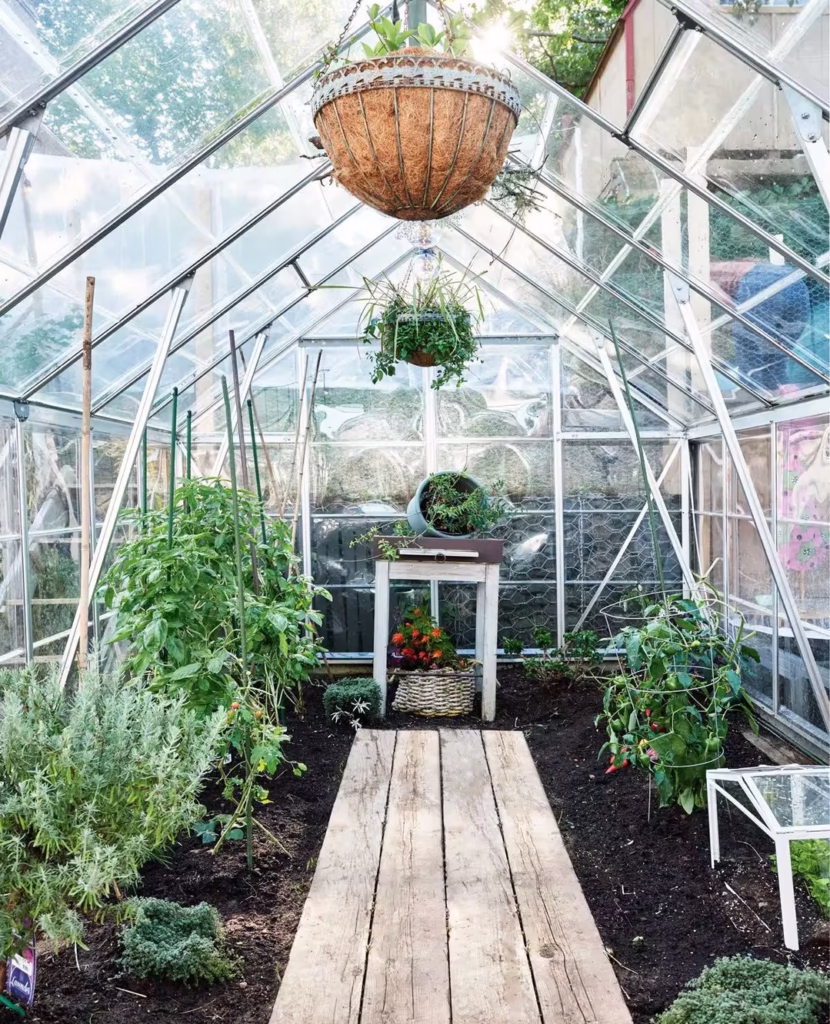 Planting Garden