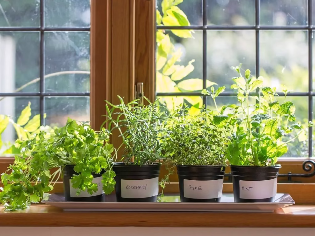 Winter Gardening