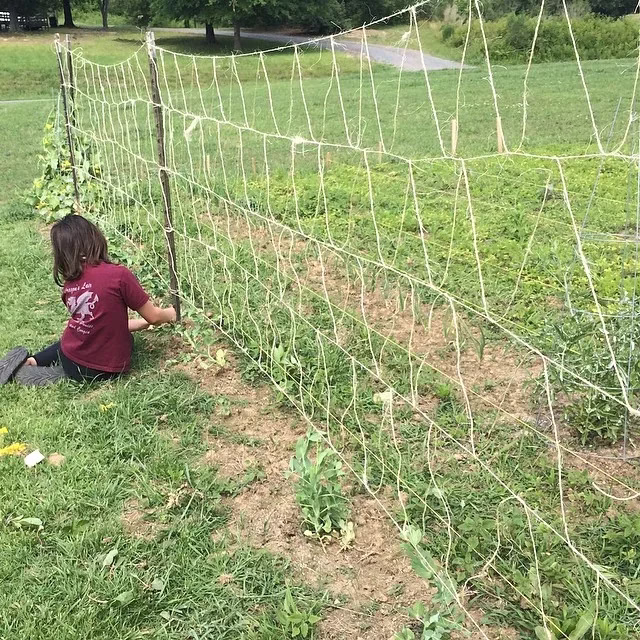 Bad Gardening Trellis