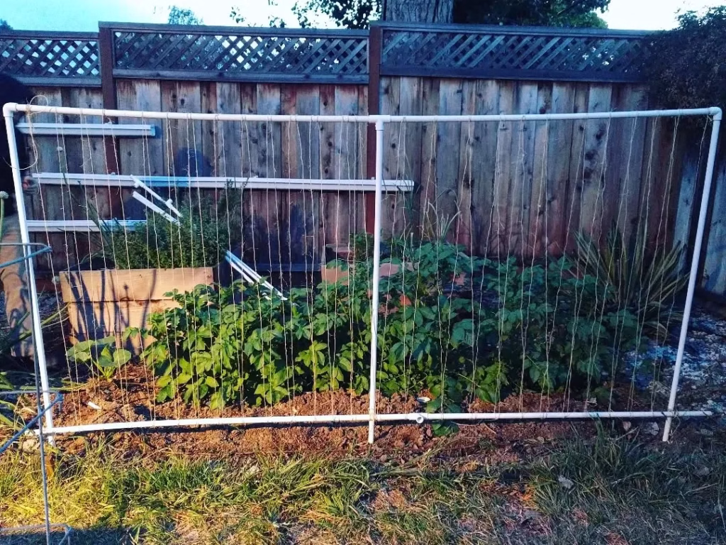 Vertical Garden Trellis