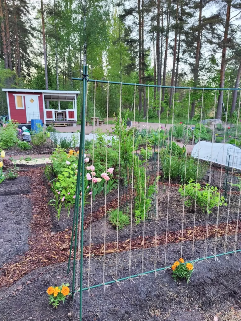  Flower Plants Garden Trellis