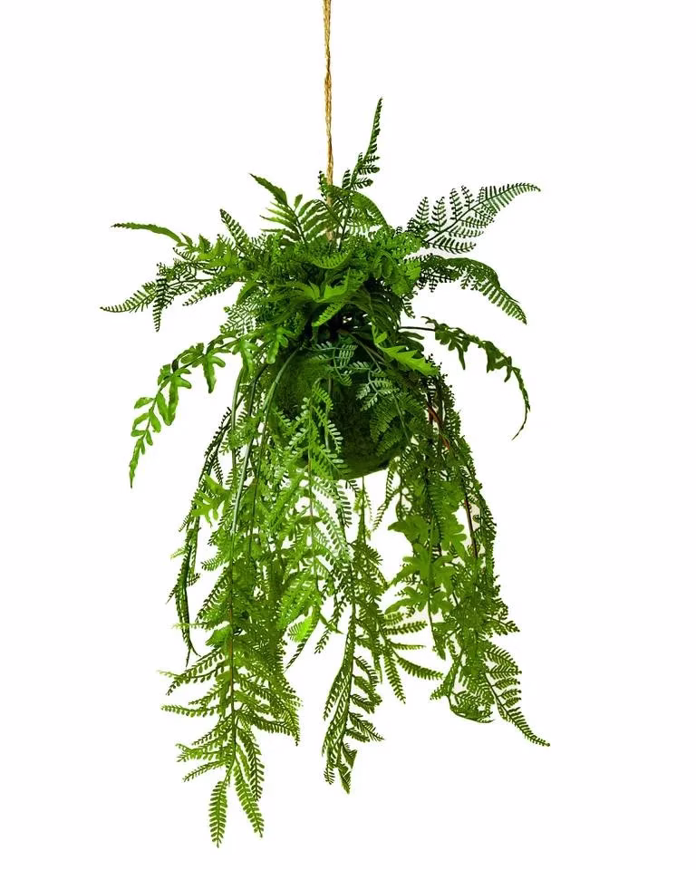 Artificial Boston Ferns Plant
