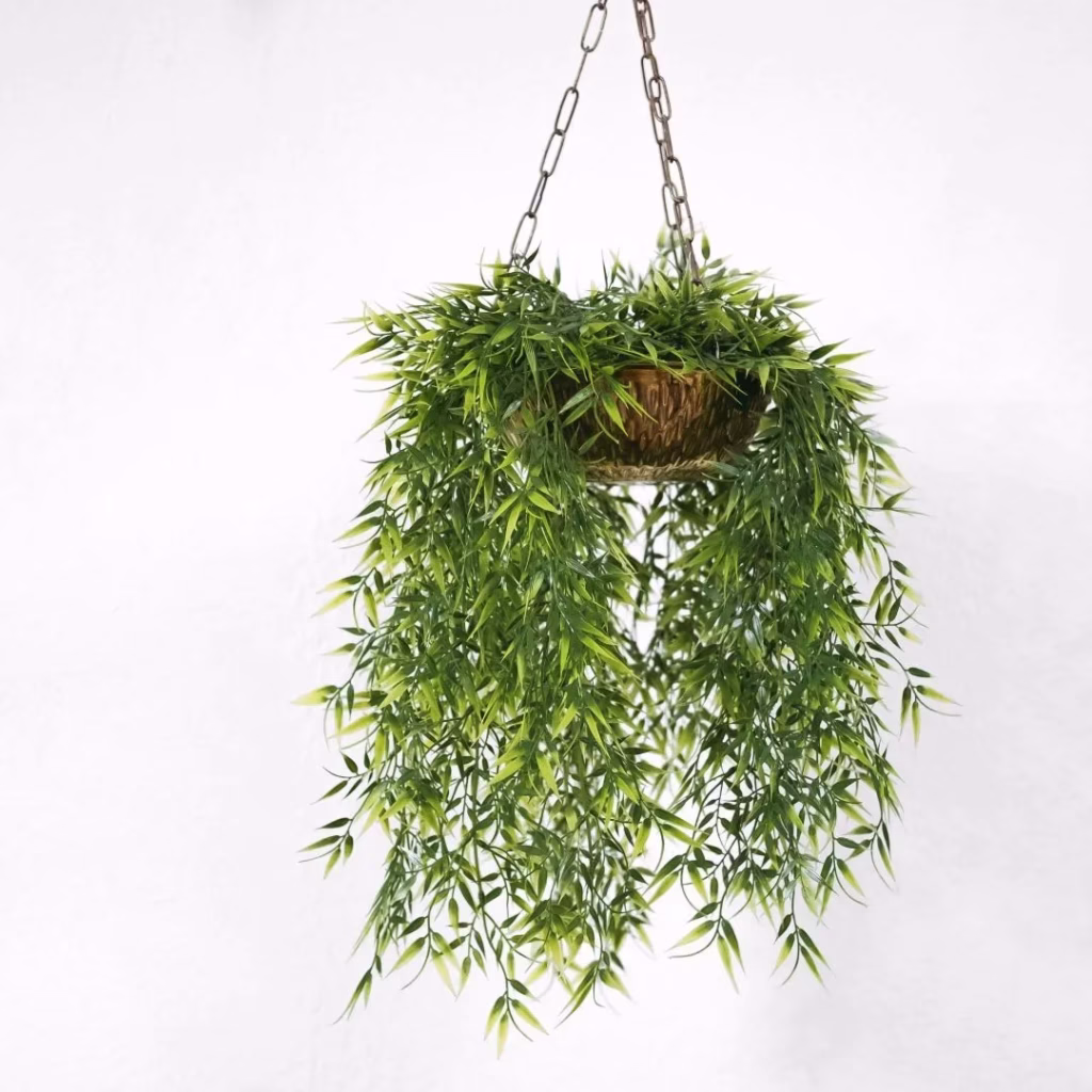 Fern Plants Mandala Vine