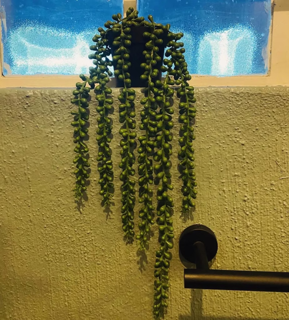 Potted Greenery Faux Eucalyptus Vine